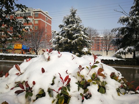瑞雪兆豐年
