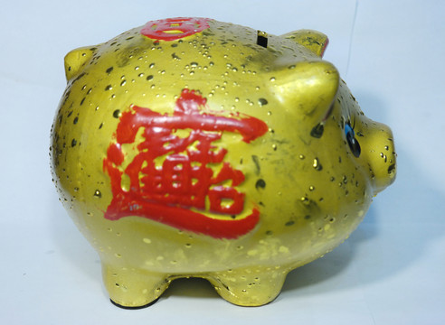 金豬存錢罐
