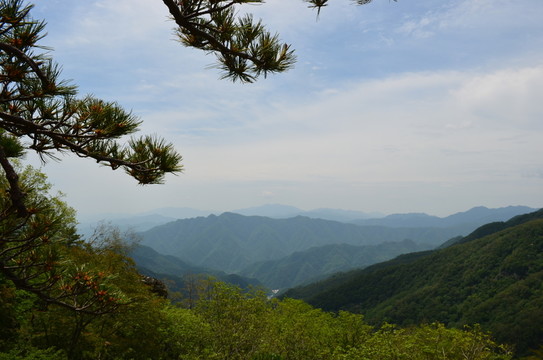 牛背梁