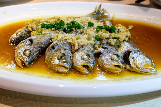 小黃魚
