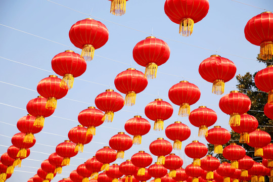大紅燈籠 節(jié)日喜慶場(chǎng)景