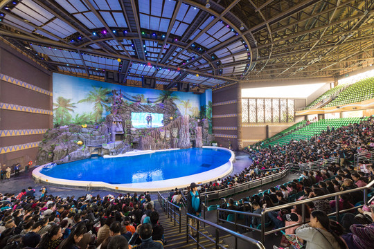 海洋公園 海豚表演 