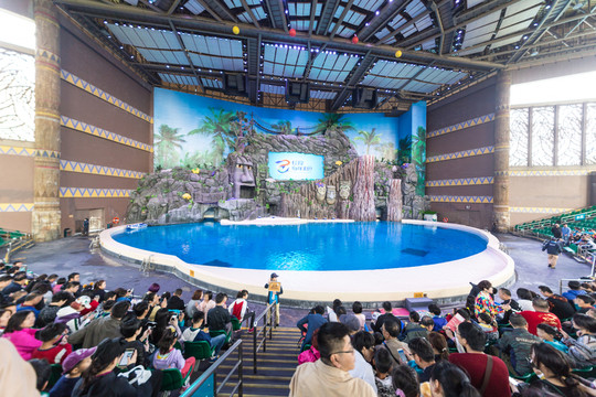 海洋公園 海豚表演 