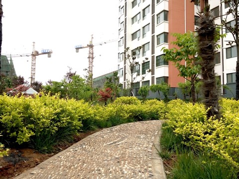 小區(qū)風(fēng)景 園林綠化