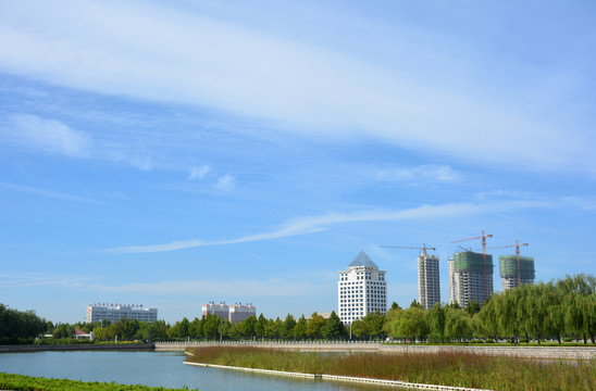 公園一角