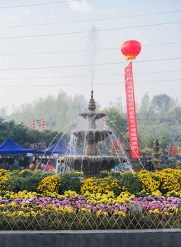 菊花噴泉