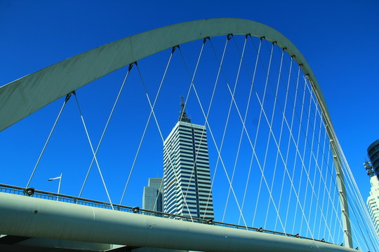 天津大沽橋