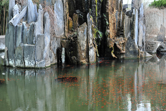 水塘假山 魚塘