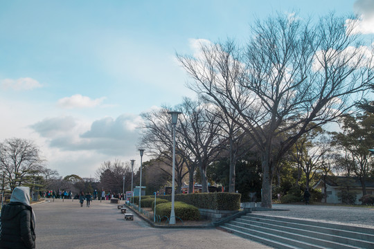大阪城公園冬景