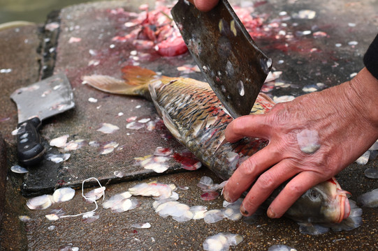 剖魚(yú)