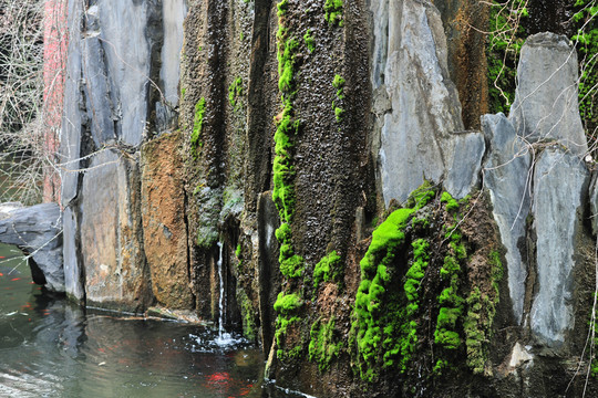 假山流水