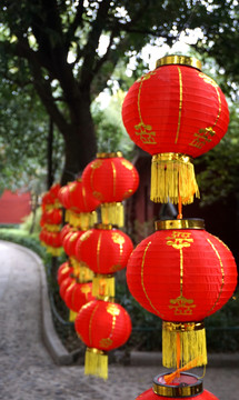 紅燈籠