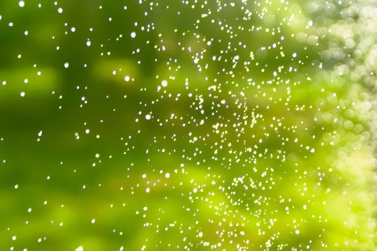 夢(mèng)幻水花背景