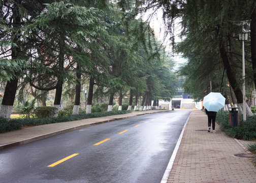 大學(xué)校園 中國科技大學(xué)
