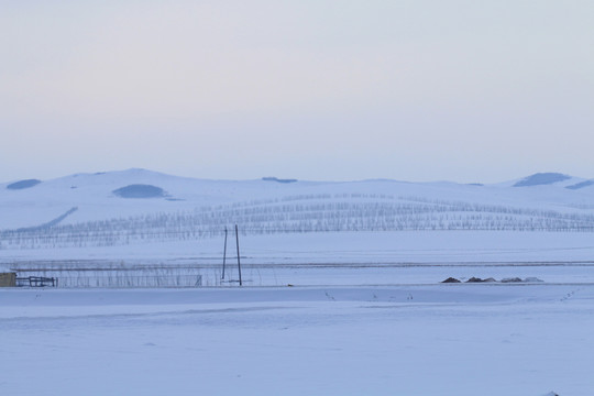 雪原風(fēng)光