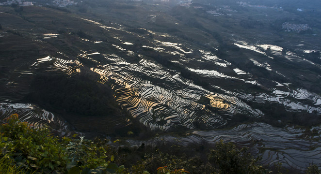 元陽(yáng)梯田