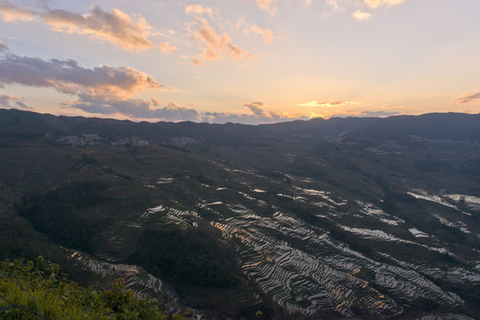 元陽梯田