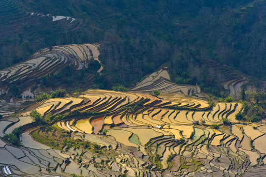 元陽梯田