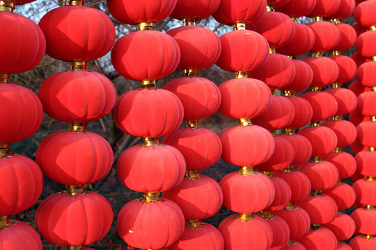 紅燈籠