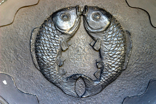 魚