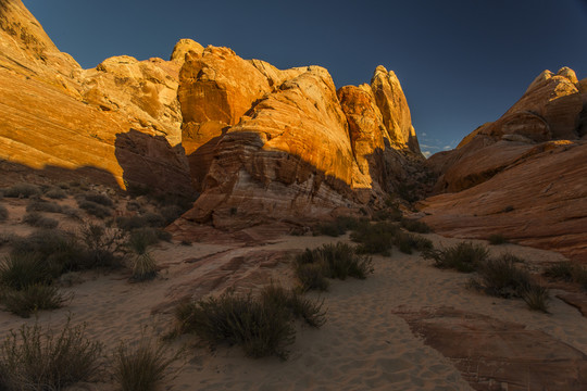 山