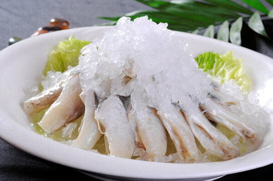 耗兒魚