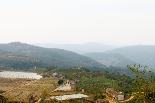 長龍的山