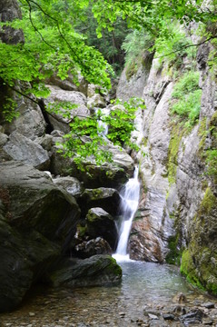 溪水