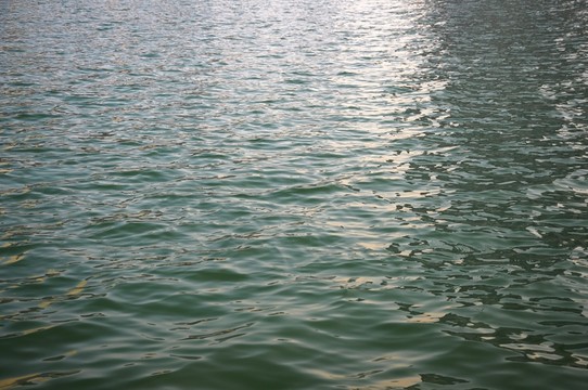 水面波紋 湖水 河水