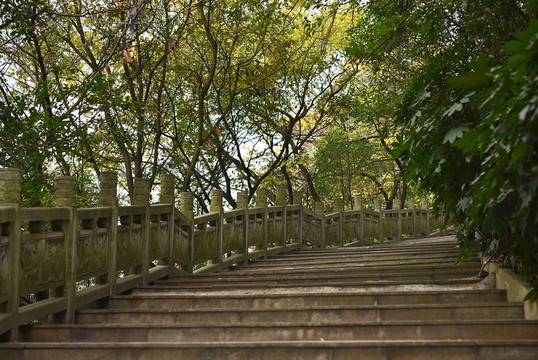 臺(tái)階