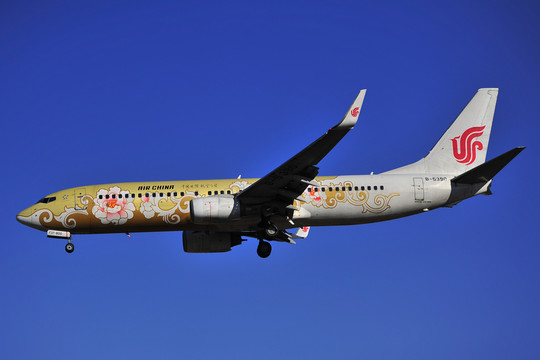 飛機(jī) 彩繪飛機(jī) 國航 牡丹飛機(jī)