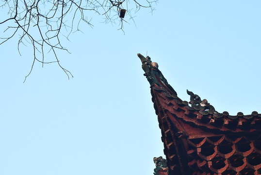 寺廟一角