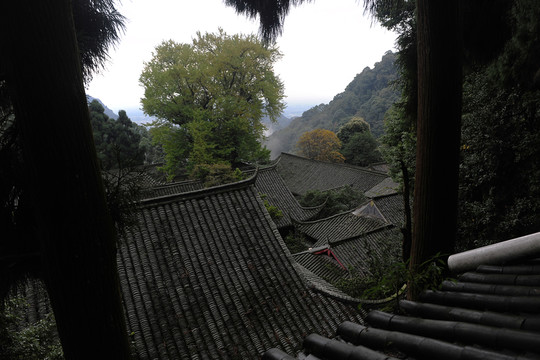 青城山 道觀