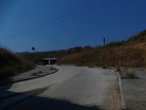 大路一條
