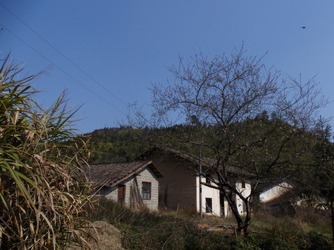 鄉(xiāng)村風(fēng)光