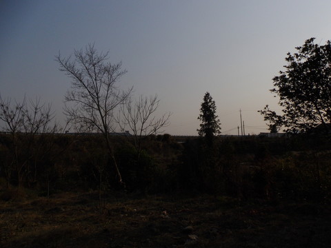 鄉(xiāng)村小景