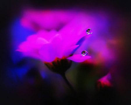 裝飾畫