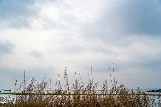 湖邊風(fēng)景
