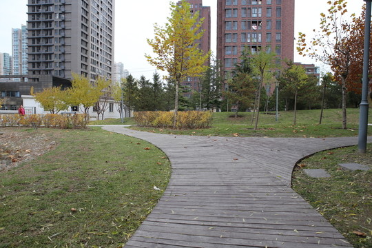 公園樓群木板路
