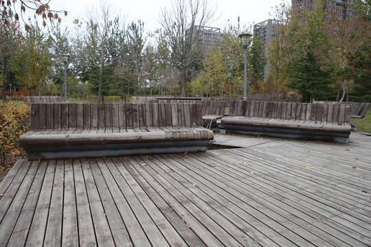 公園內景觀和木板路