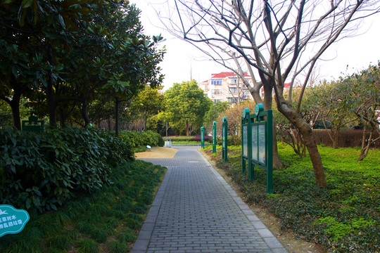 上南公園