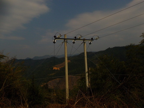 山中電桿