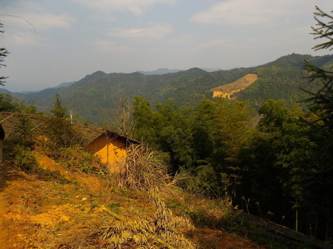 連綿的群山