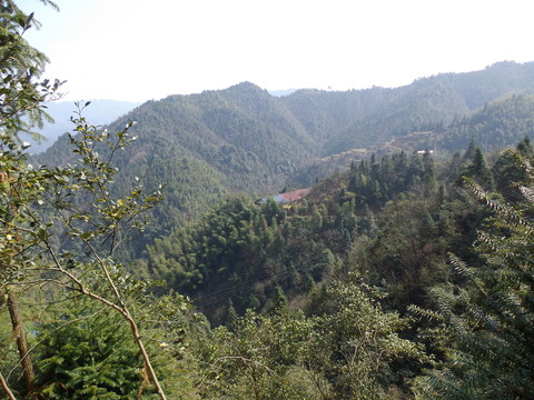 高山景色