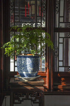 園林小景