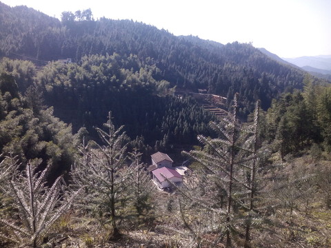 山中小屋