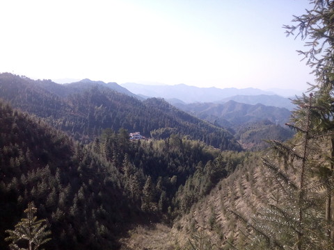 蒼茫群山