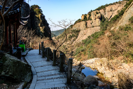山澗小路 森林山路