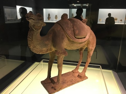 上海博物館 博物館 歷史 上海