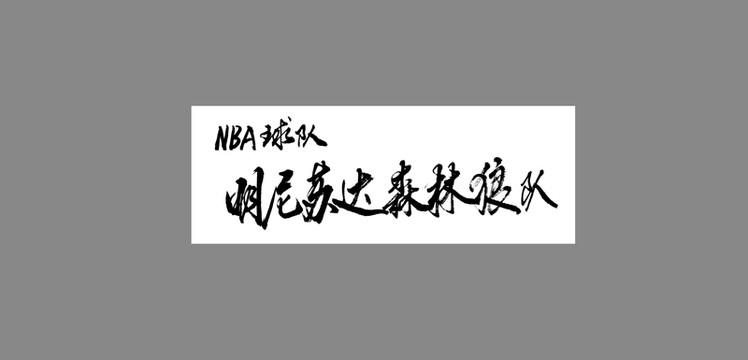 明尼蘇達森林狼隊